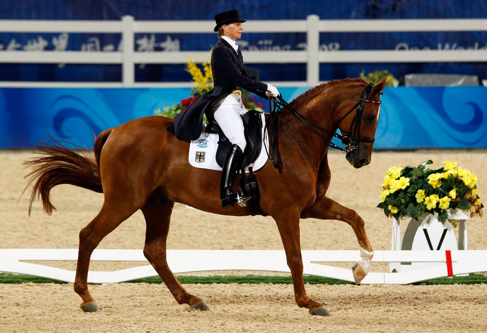  Olympic Equestrian Dressage Tickets: Equestrian Dressage History 