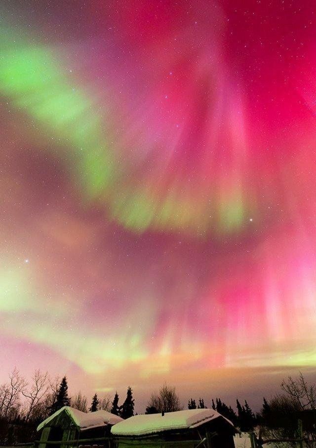  Nordlichter und polarlichter kreuzfahrt 2023 und 2024 buchen – Artofit Illustration 