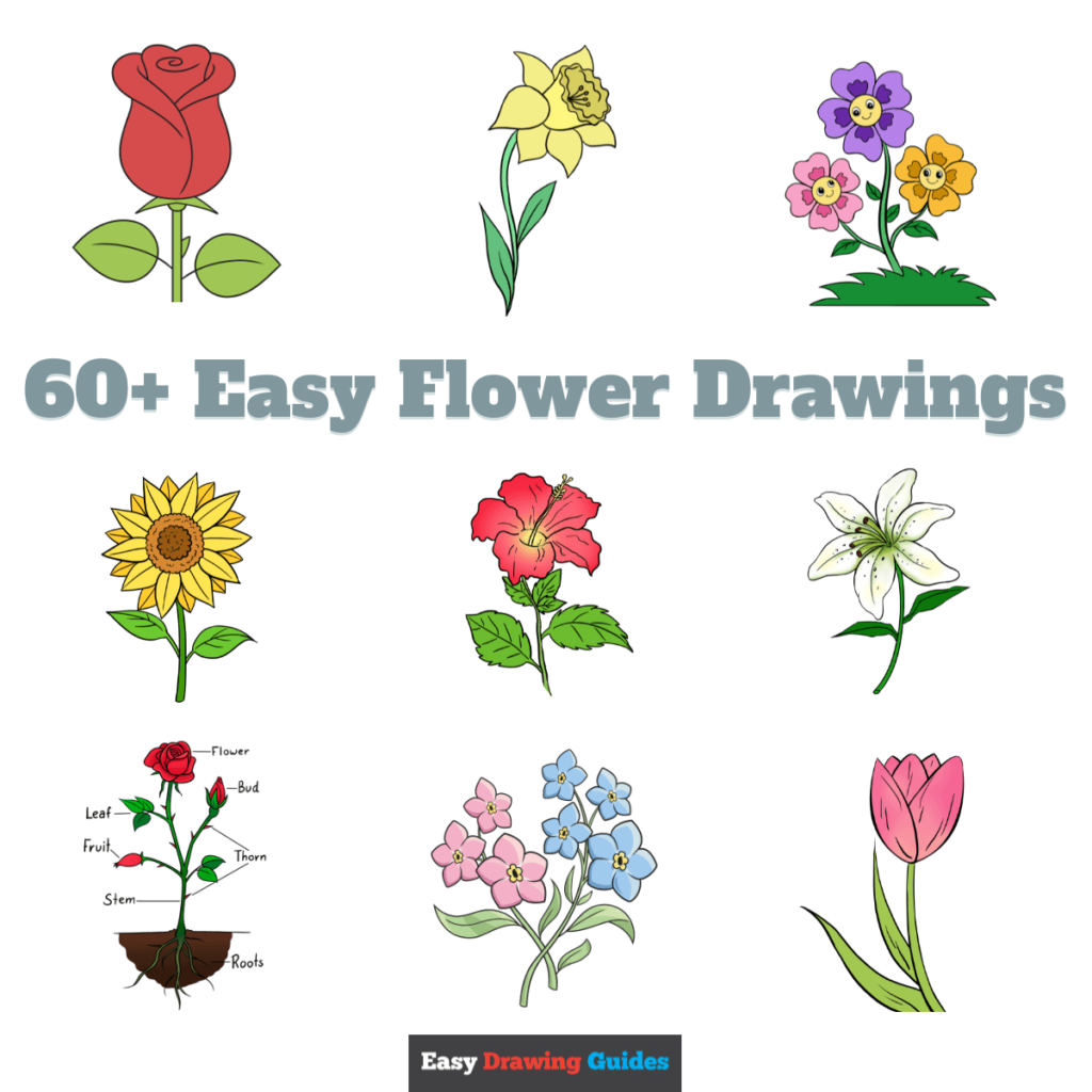 Easy Drawings Flowers - MIT Printable