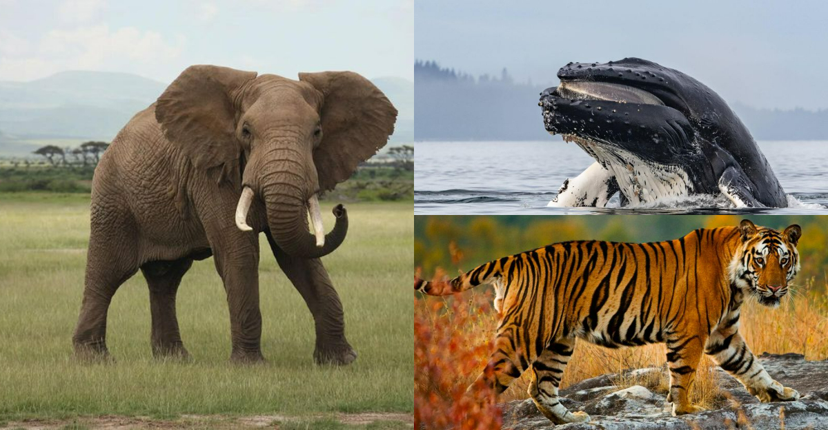  24 Incredible Animals That Are Best Experienced in the Wild in Their 