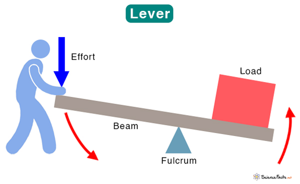  Lever: Definition, Parts, Types, and Examples Illustration 