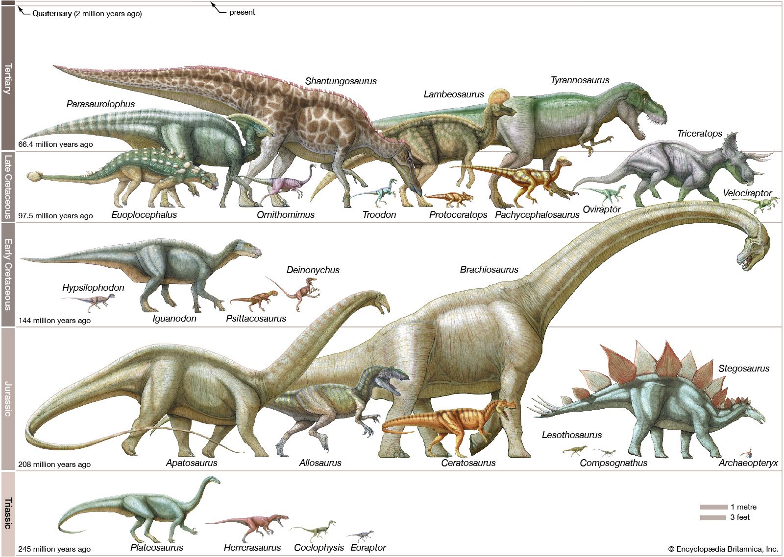  Britannica Bildidee 