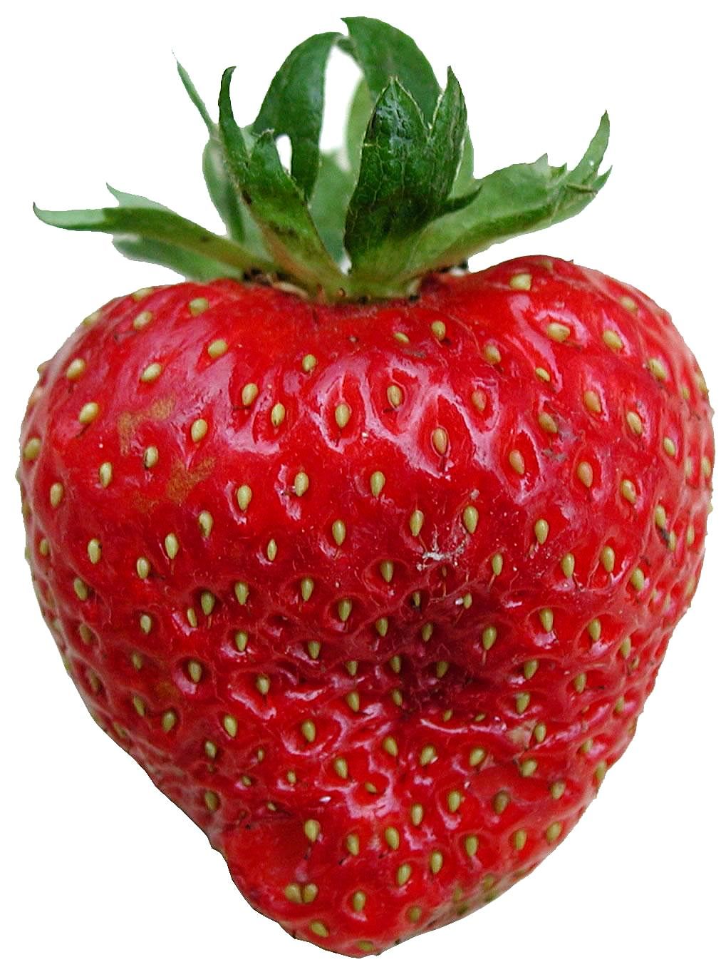  Free picture: strawberry, fruit 