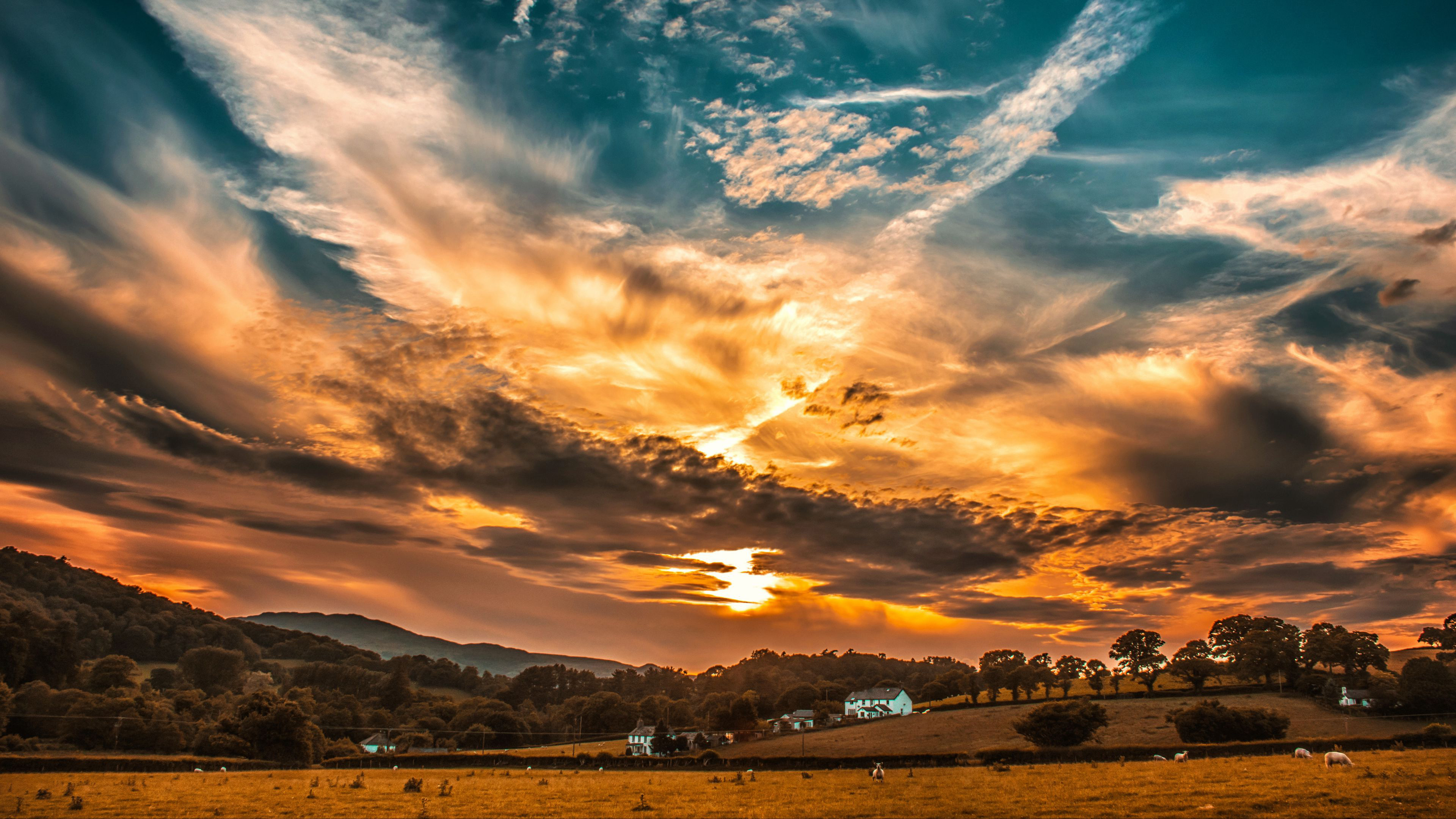  Sunset Sky Clouds Field Trees Horizon 4K HD Wallpapers 