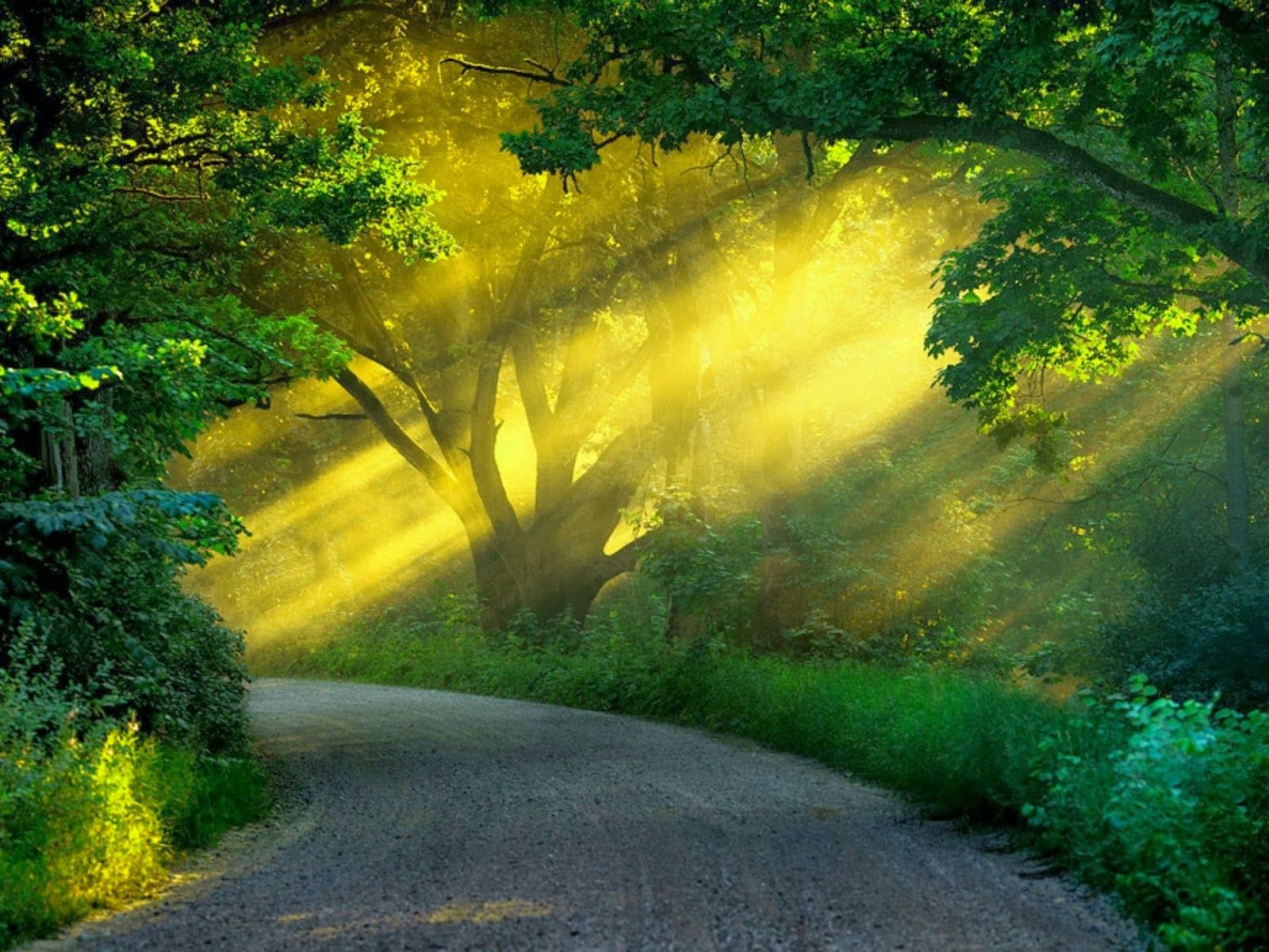  Free Desktop Background Images Nature Bildidee 