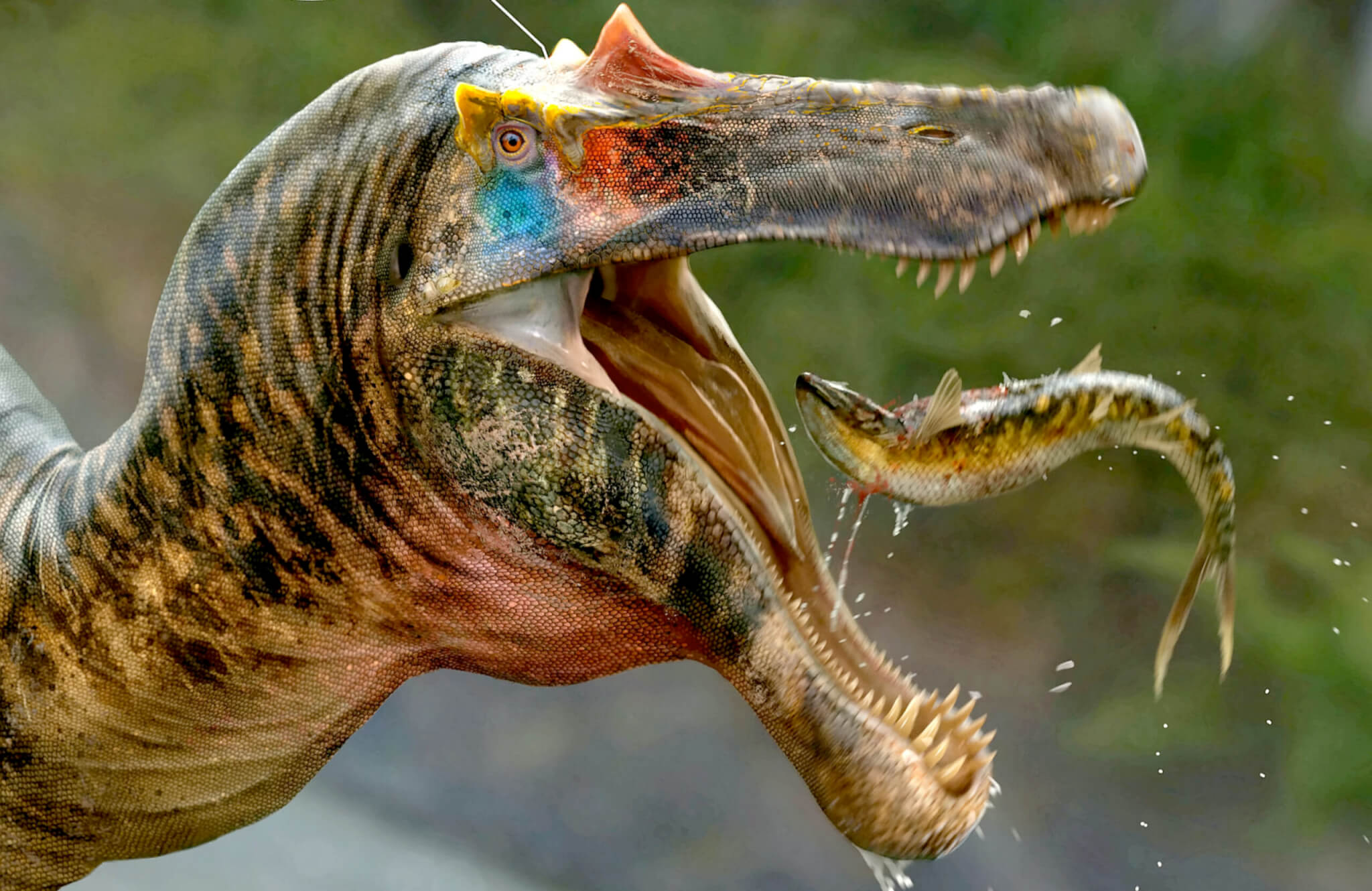 What does a dinosaur's brain look like? Scientists recreate the mind of Illustration 