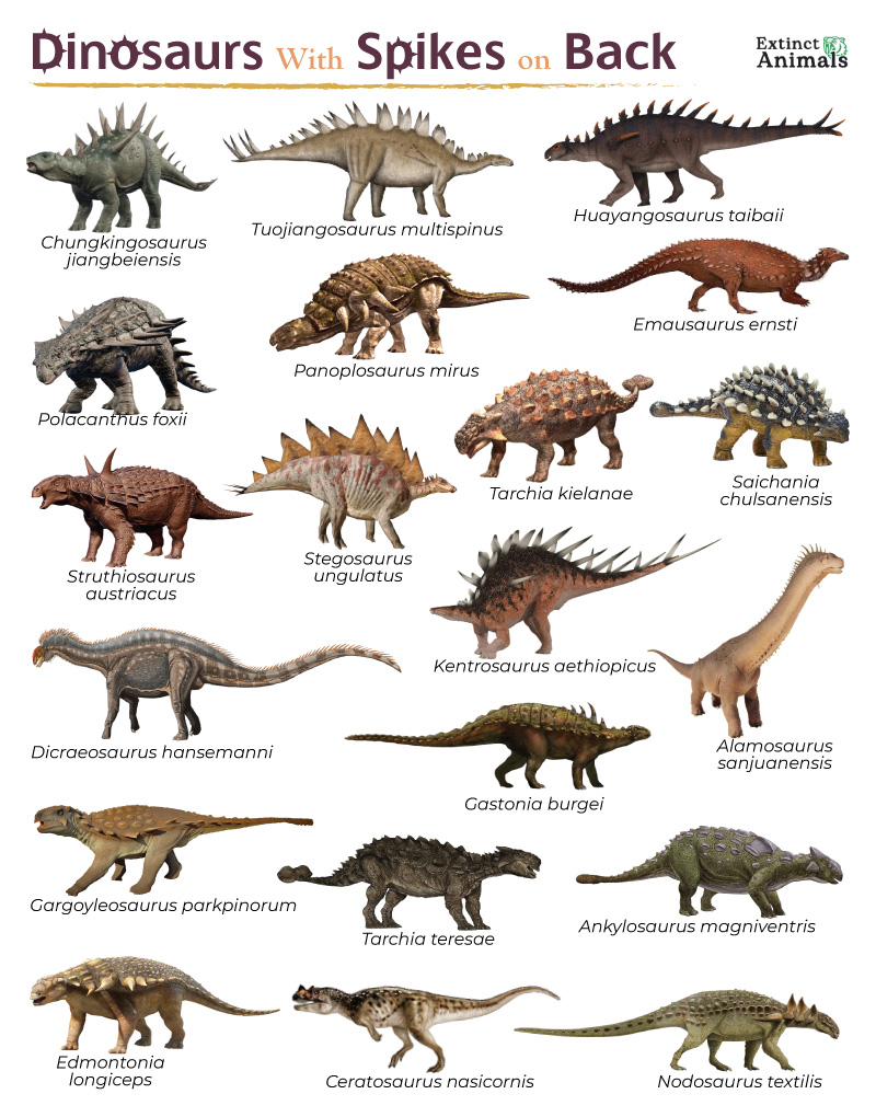  Types Of Dinosaurs Images And Names 12 World New Species Of Dinosaur Bildidee 