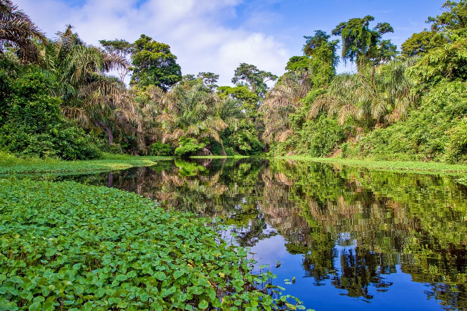 Visit the Amazon Rain Forest: Private Travel to Brazil's Amazon 
