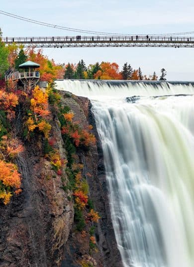  New Japan Voyages 2026 Illustration 