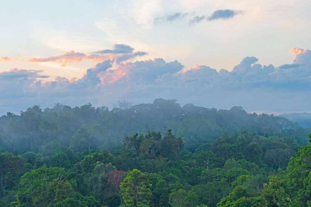  Brazil: A Kaleidoscope of Festivals, Landscapes, and Culture - About 
