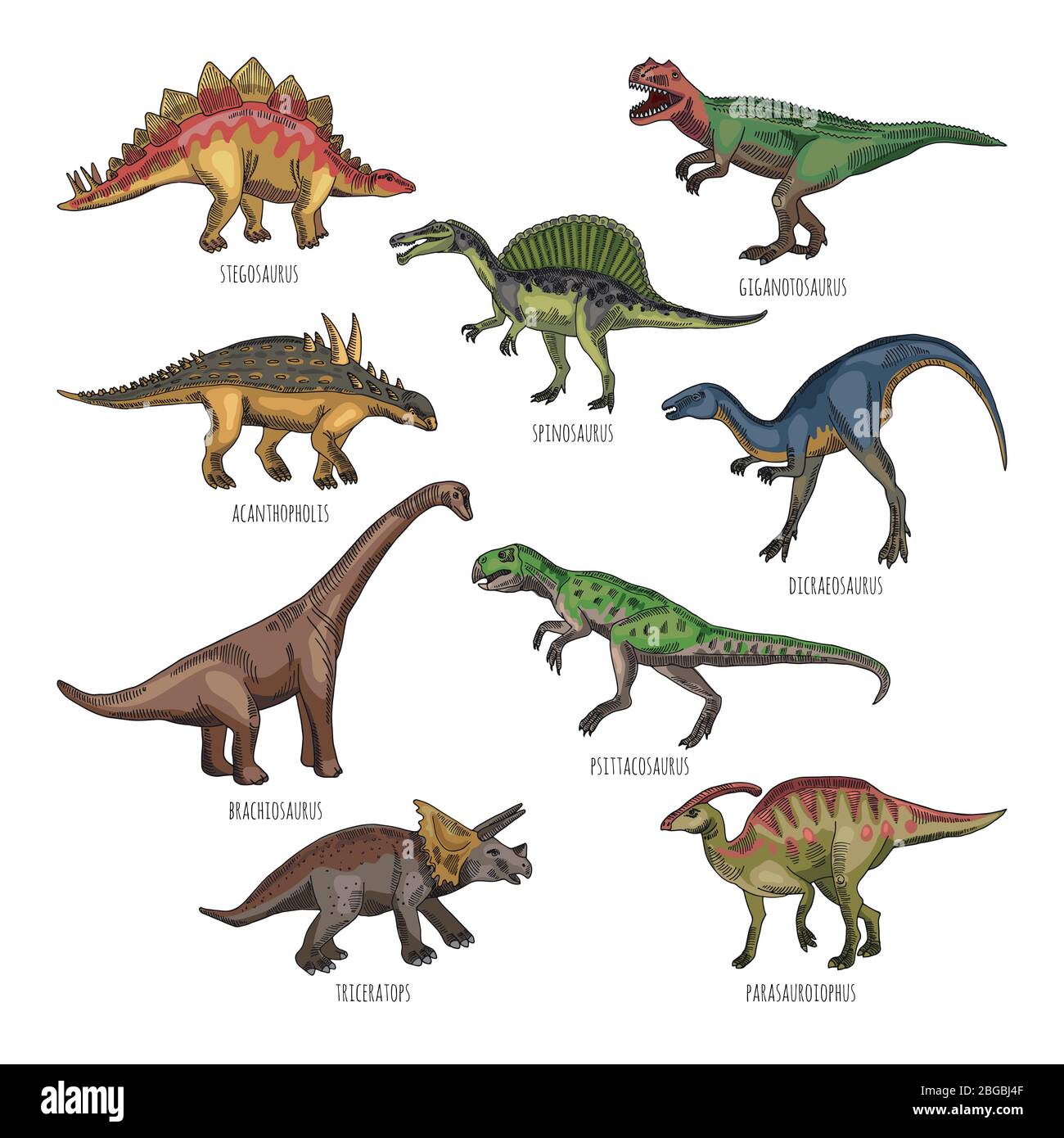  T Rex Contro Stegosauro Ten Terrible Dinosaurs, By Paul Strickland Illustration 