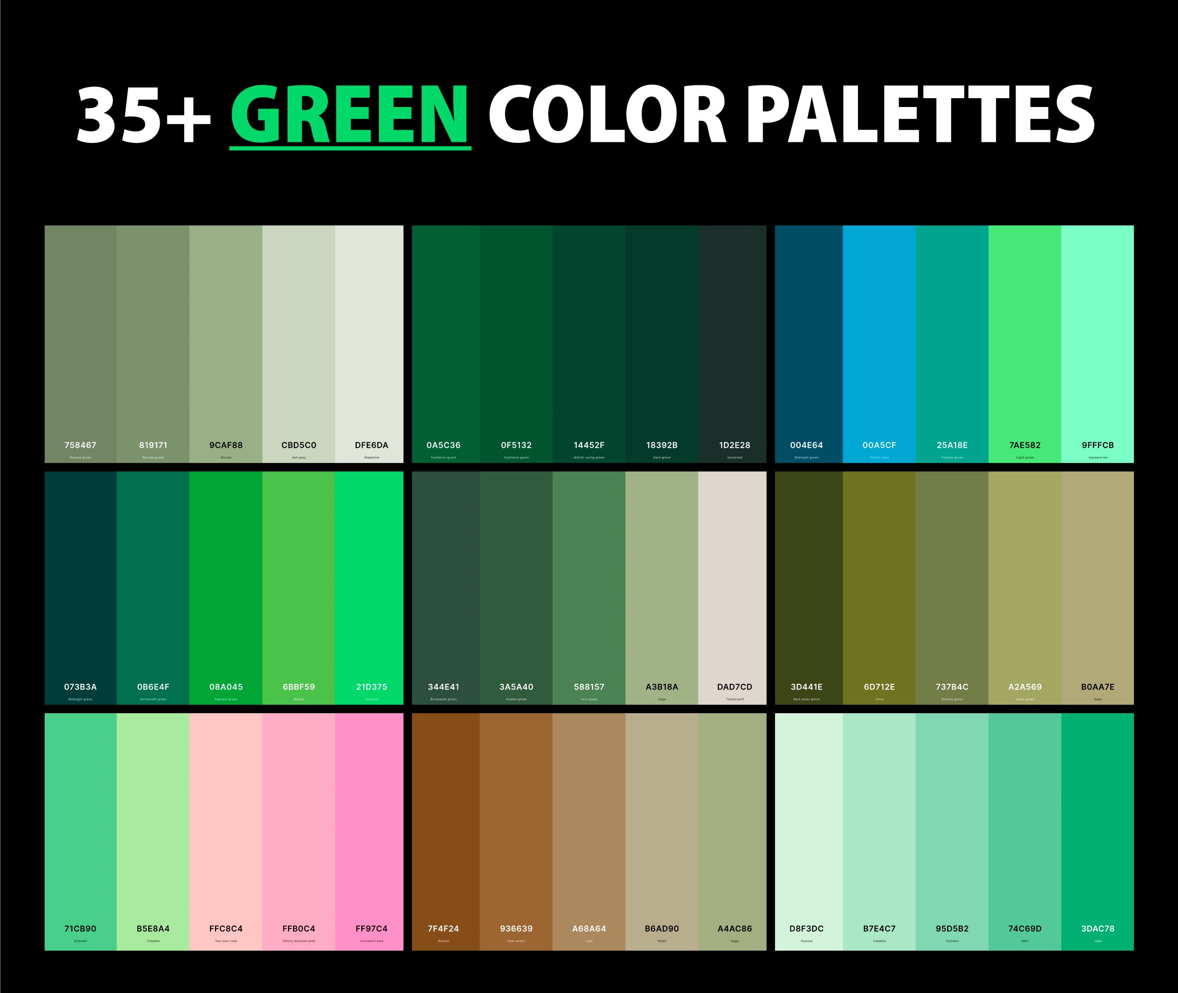  35+ Best Green Color Palettes with Names and Hex Codes – CreativeBooster Illustration 