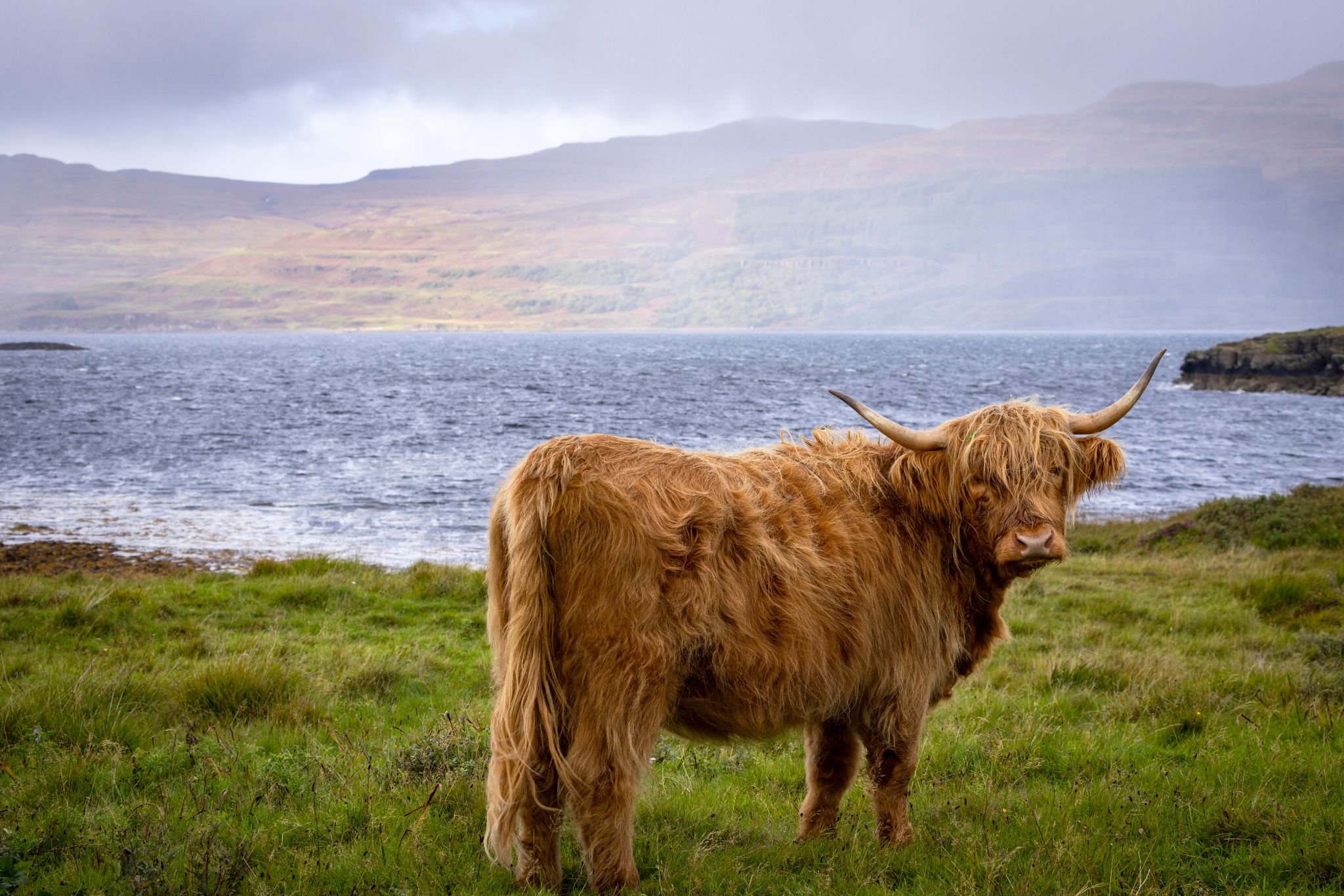  Countryside Breaks in Scotland 