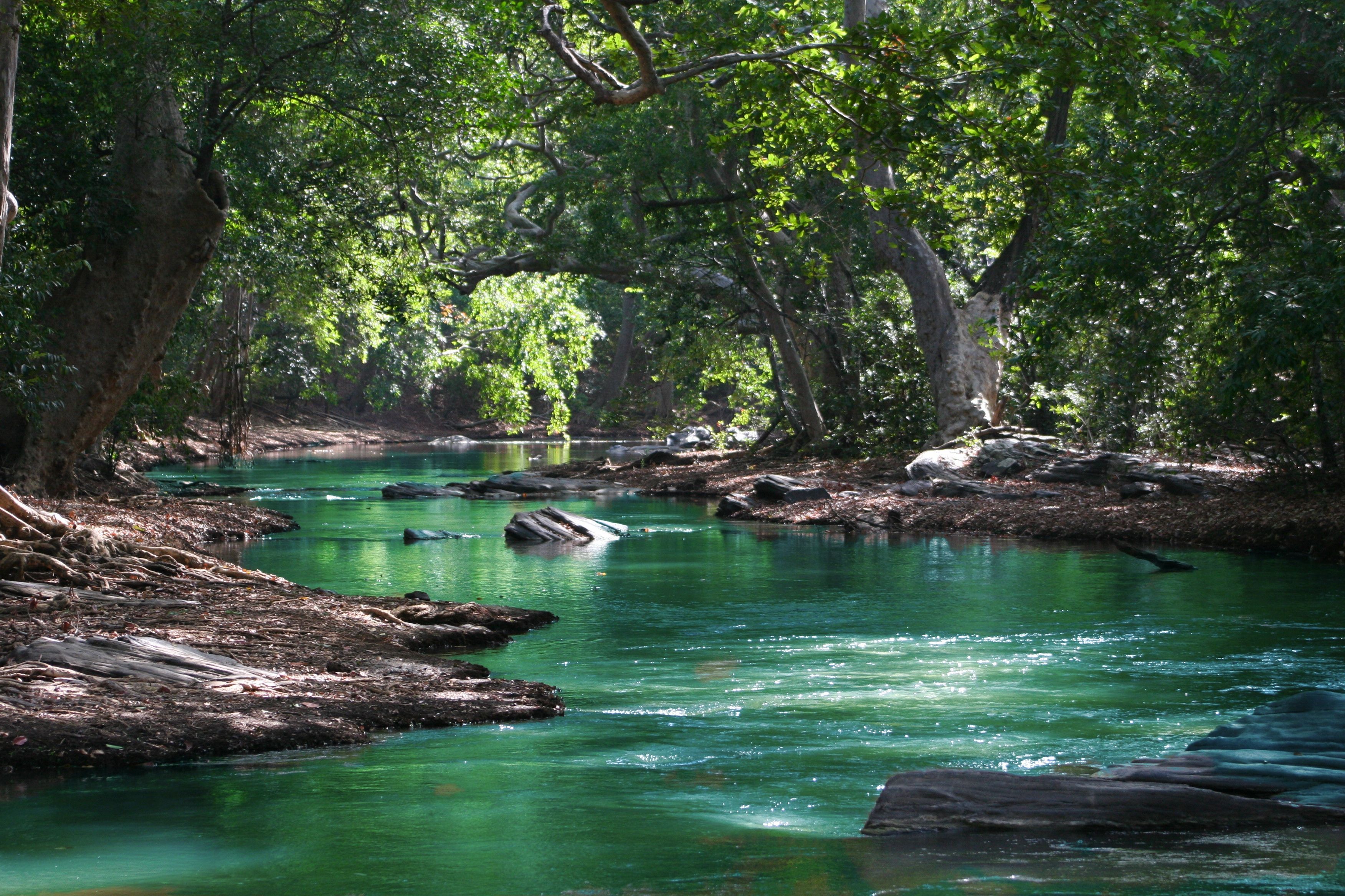  Environment Photos, Download The BEST Free Environment Stock Photos Bildidee 