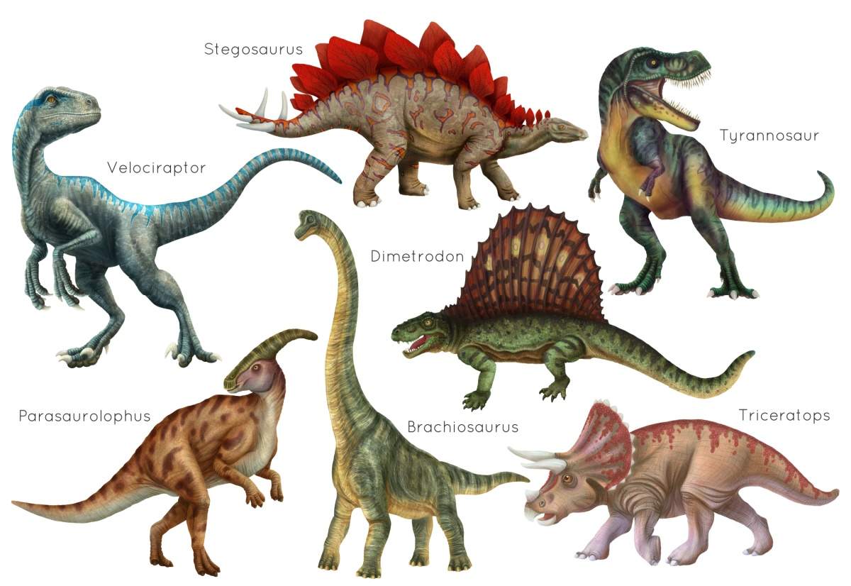  Different Dinosaurs Names Bildidee 