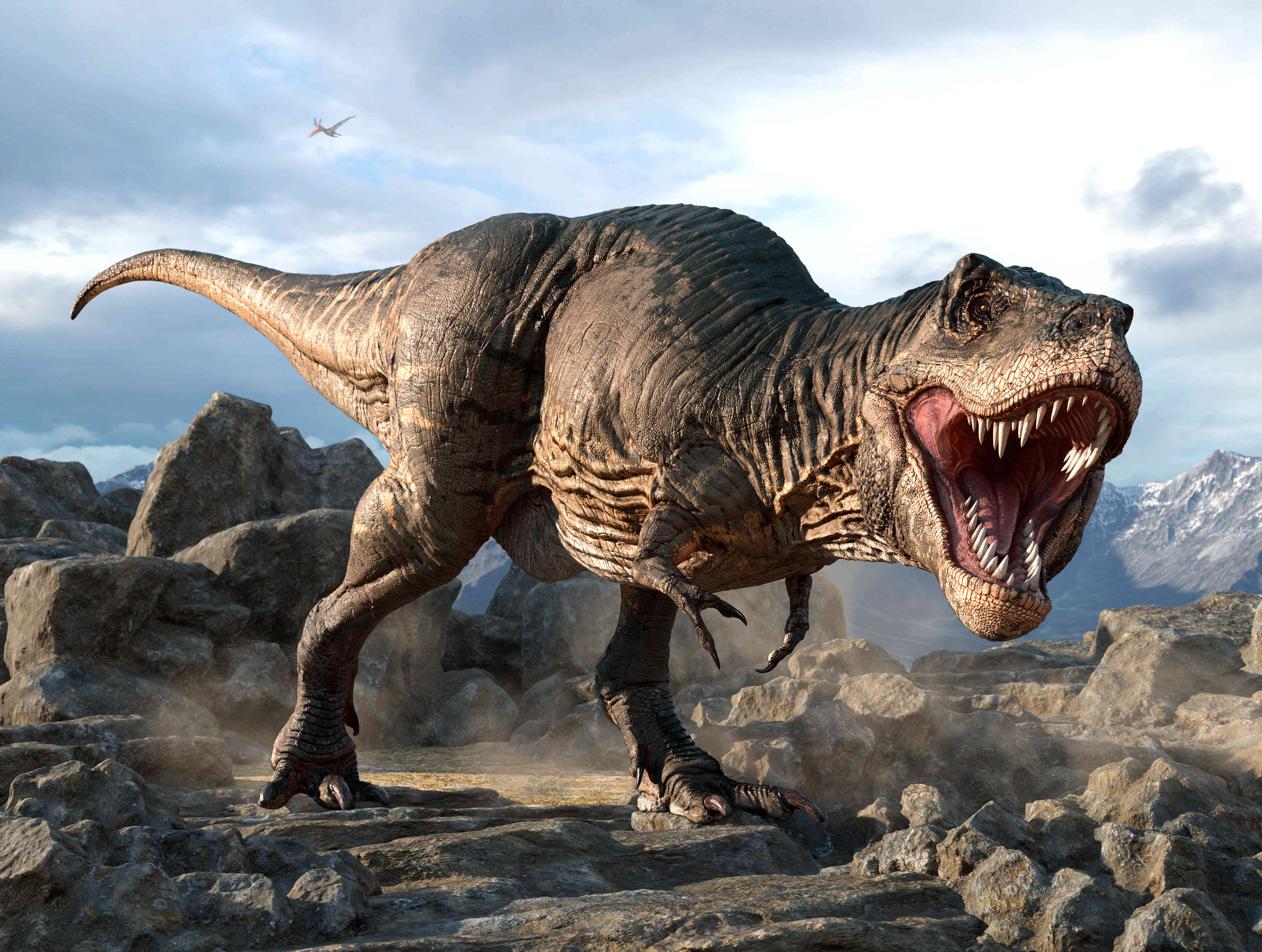  Tyrannosaurus Rex "Harley" Skull Replica Motiv 