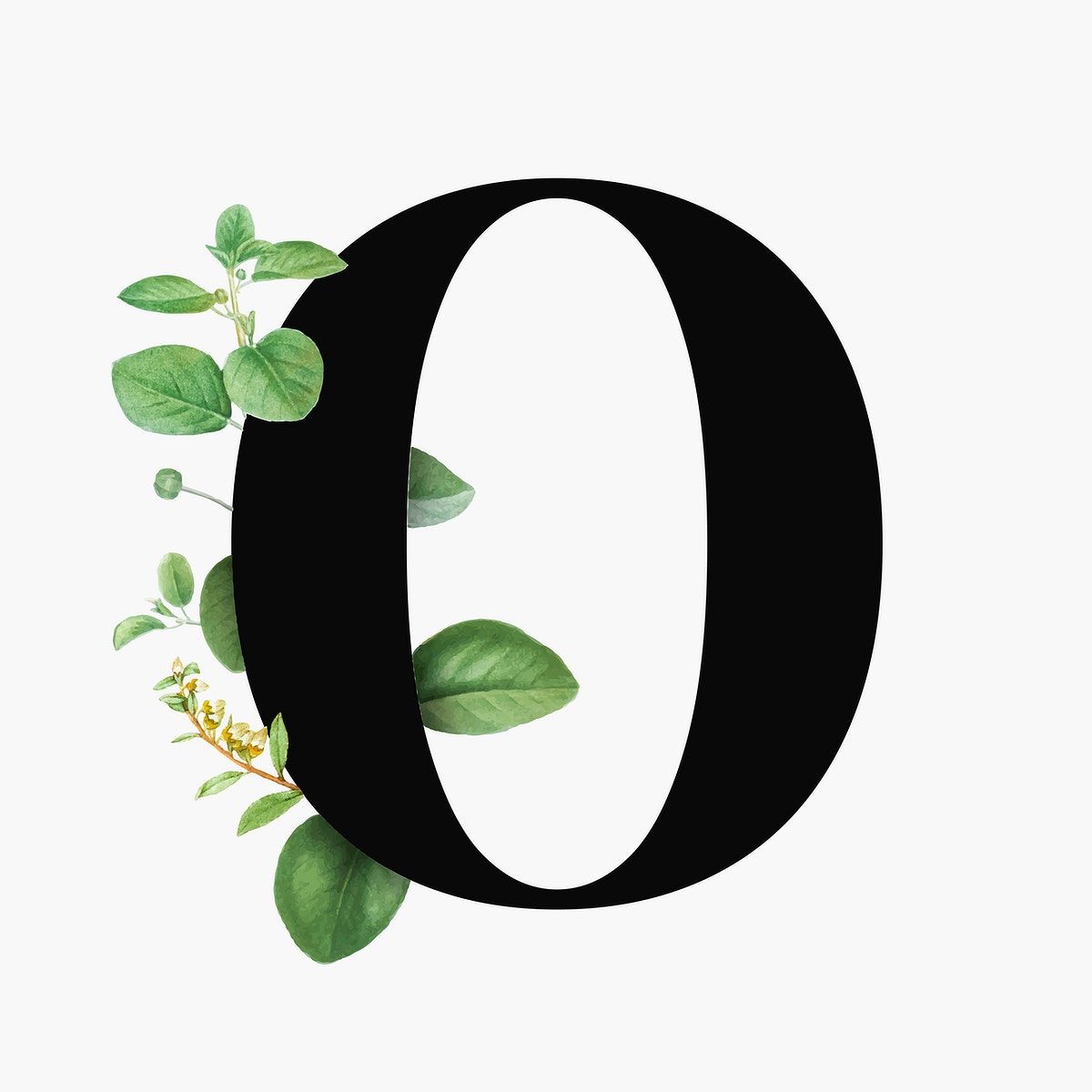 Download premium psd image of letter o script psd floral alphabet by