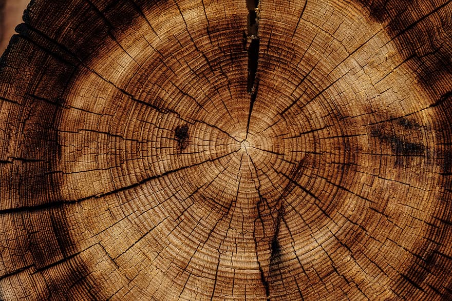  Foto zu Blockhouse Series, brown, nature, wood, log, texture, circle 
