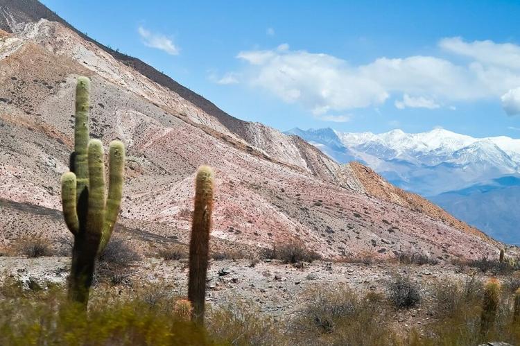  The Natural Landscape of Argentina 
