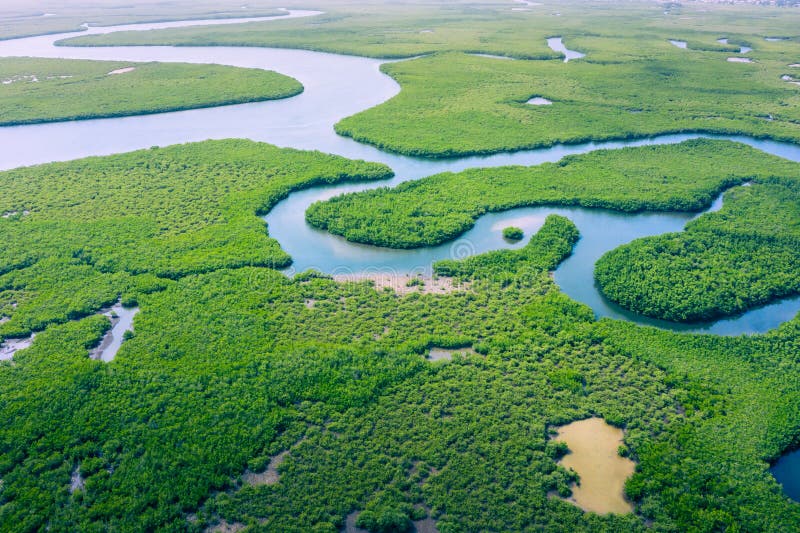  Adventure in Brazil: 15 Places That Will Thrill You 