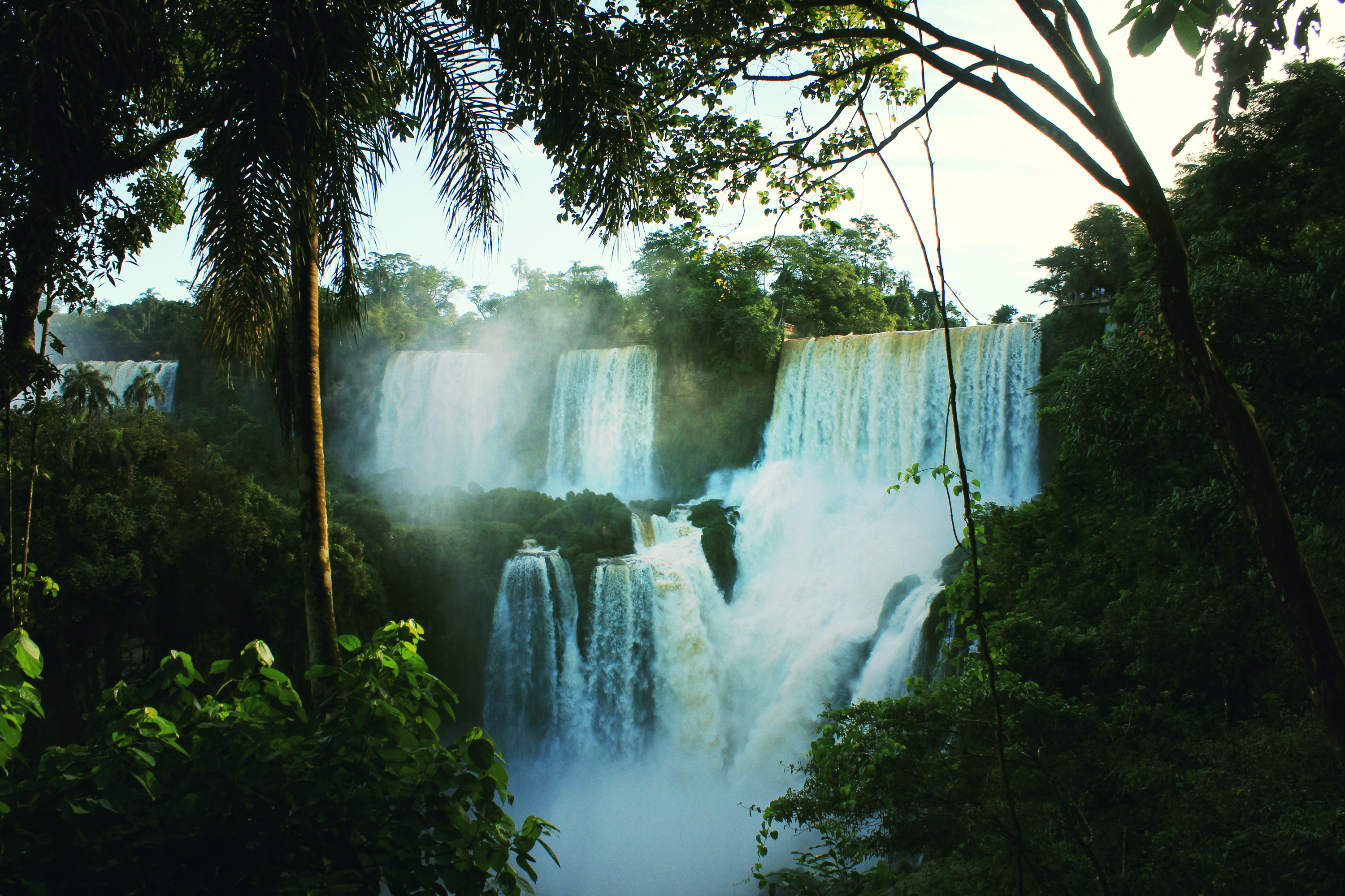  Foto zu Free Images : landscape, nature, forest, waterfall, palm tree, river 