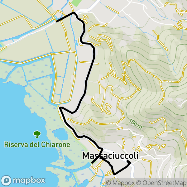  Lago di Massaciuccoli: attraverso la bonifica sud in Mountain Bike Illustration 