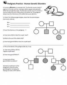  Analyzing Pedigrees - Human Genetic Disorders Illustration 