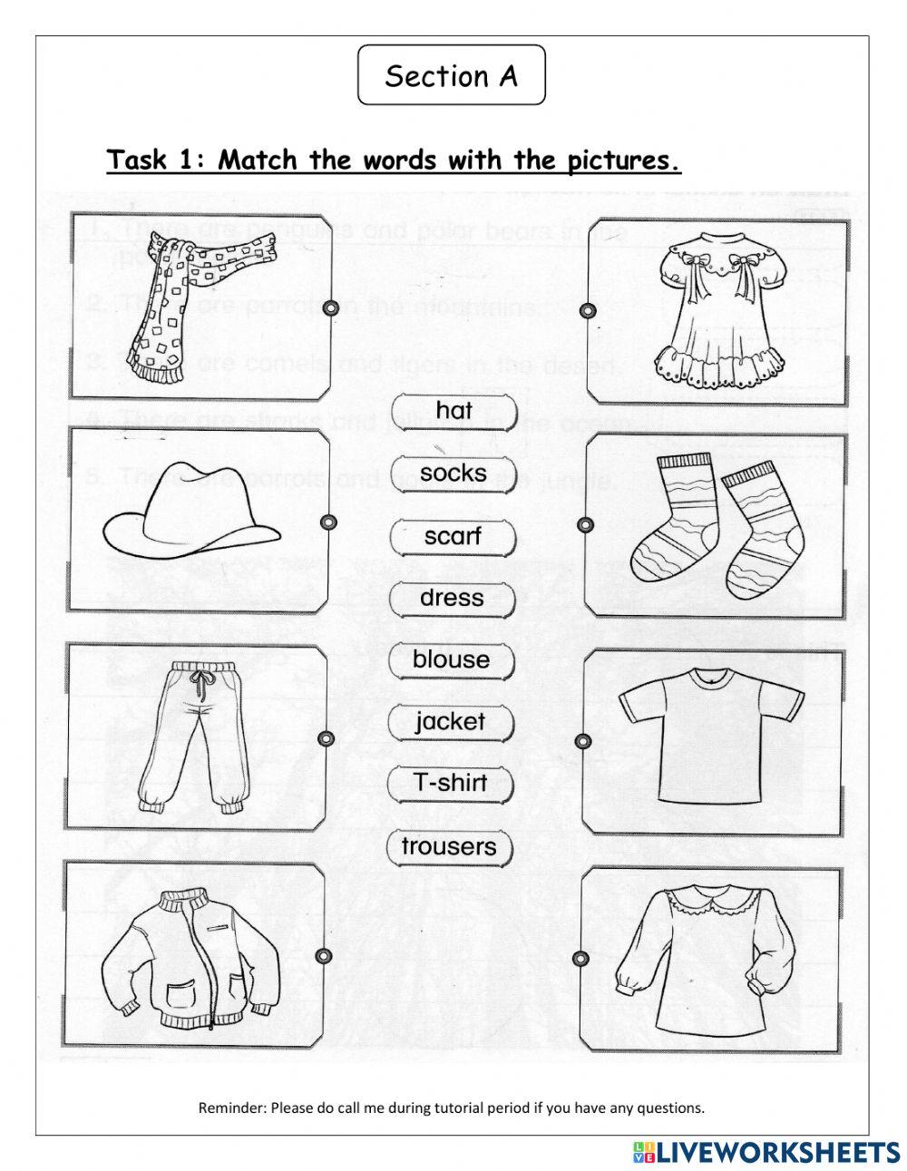  Live Worksheets Bildidee 