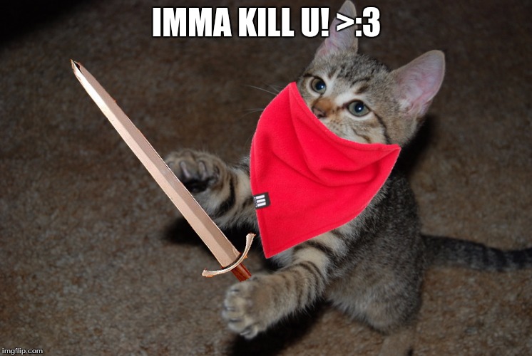  Danger Cat Memes Funny Cat Memes Won't Say It Again Bildidee 