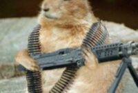 3/8 Inch 316 Stainless Push To Connect Fitting Standard Sizes Funny Squirrels With Guns 3/8 Inch 316 Stainless Push To Connect Fitting Standard Sizes Funny Squirrels With Guns