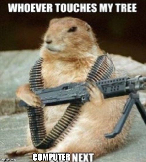 3/8 Inch 316 Stainless Push To Connect Fitting Standard Sizes Funny Squirrels With Guns