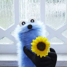 Ultimate Workspace Pet Care Planner In Germany Puppet Sunsun / パペットスンスン