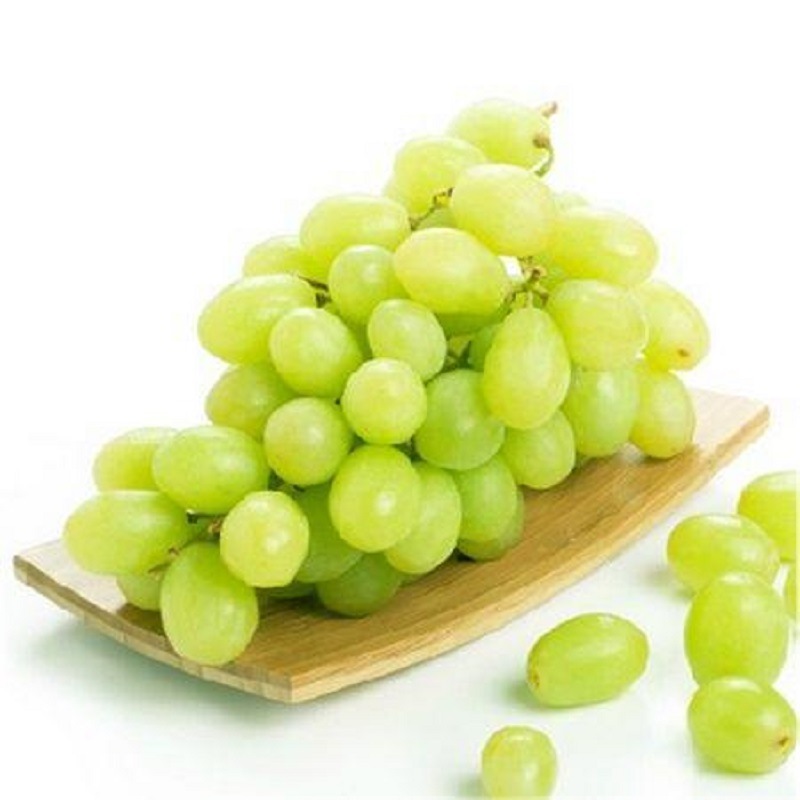 Ultimate Minimalist Educational Printable Pdf In Germany Fresh Class 1 Xinjiang Province Green Grapes