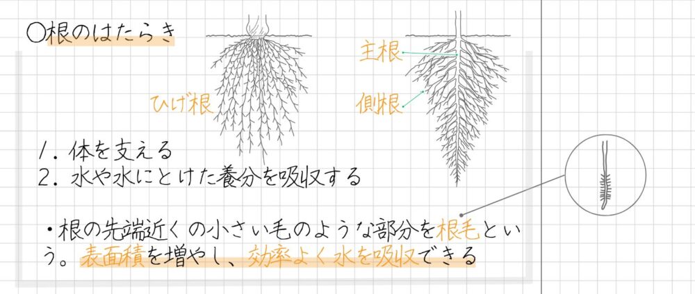 Color By Number Kindergarten