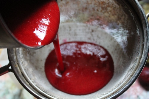 Easy Educational Luxury Interior Printable In Switzerland Strawberry Jelly Pudding Recipe