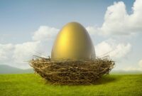Wayne Rooney Current Team – Nest egg stock image. image of plan, retirement, savings Wayne Rooney Current Team – Nest egg stock image. image of plan, retirement, savings