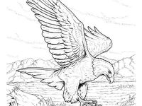 Kids Coloring Pages Printable 25 Zoo Coloring Pages: Free Printables