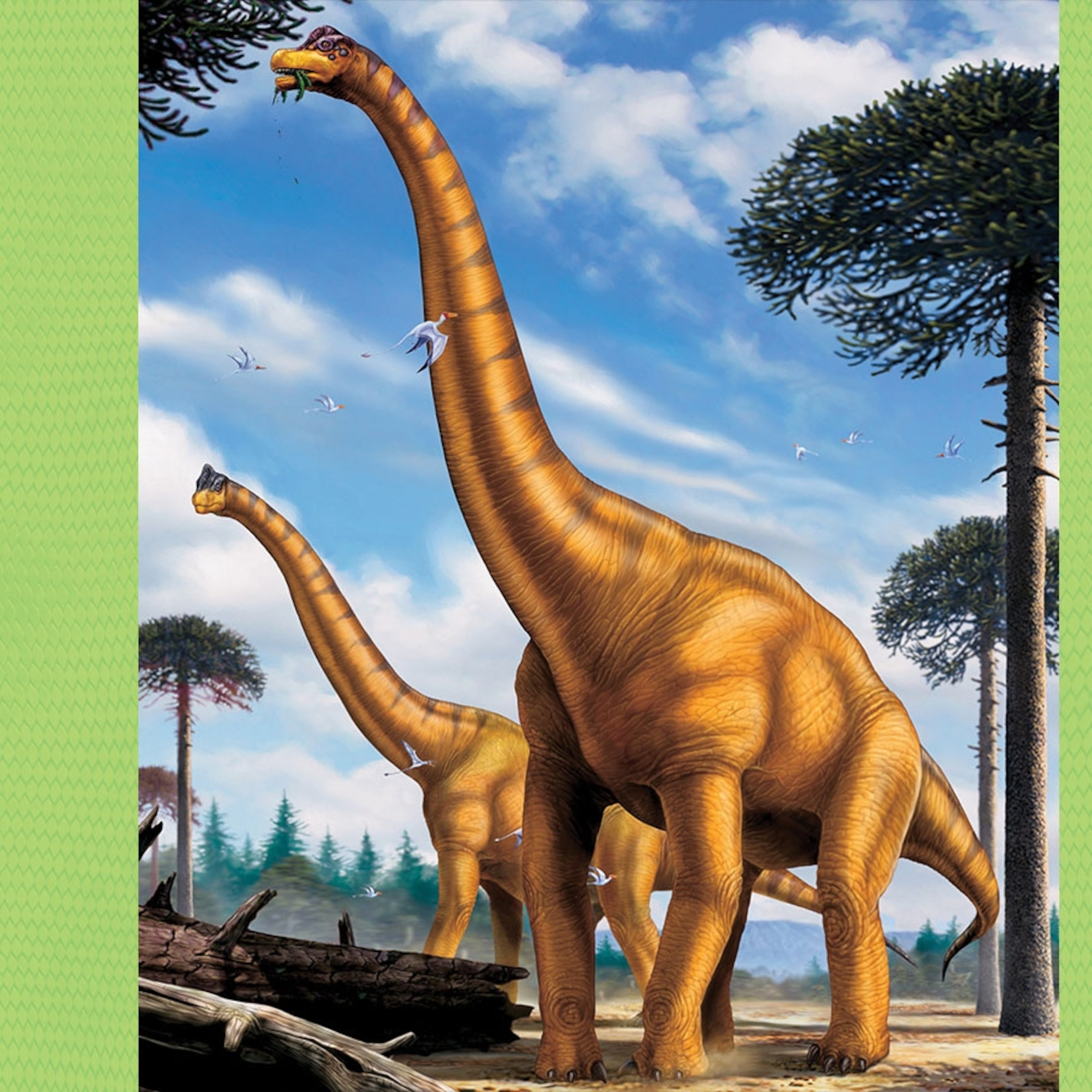  Discover the Majestic Dinosaur with a Long Neck Bildidee 