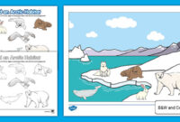 1/4 Inch 304 Stainless Roller Bearing Iso Standard polar Bear Life Cycle Display Poster For Discussion 1/4 Inch 304 Stainless Roller Bearing Iso Standard polar Bear Life Cycle Display Poster For Discussion