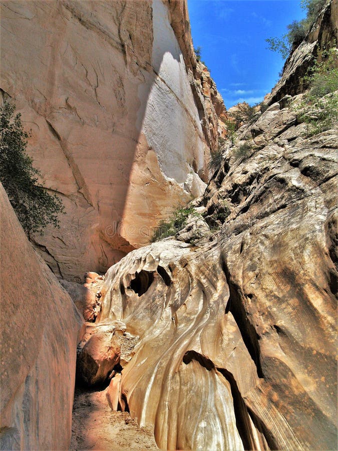  Capitol Reef National Park Petroglyphs Stock Image - Image of 