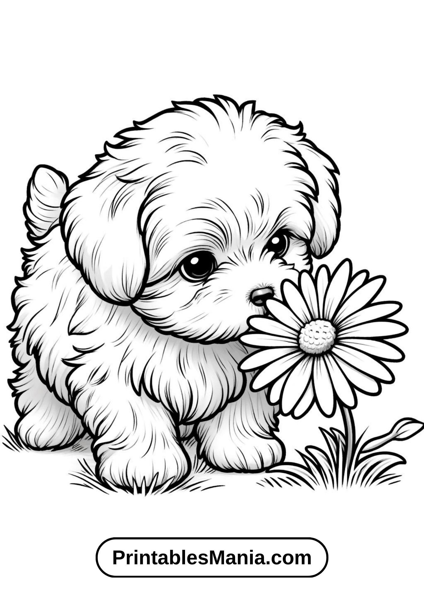 Ultimate Pets Camping Checklist Activity In Canada Free Printable Cute Puppy Coloring Pages