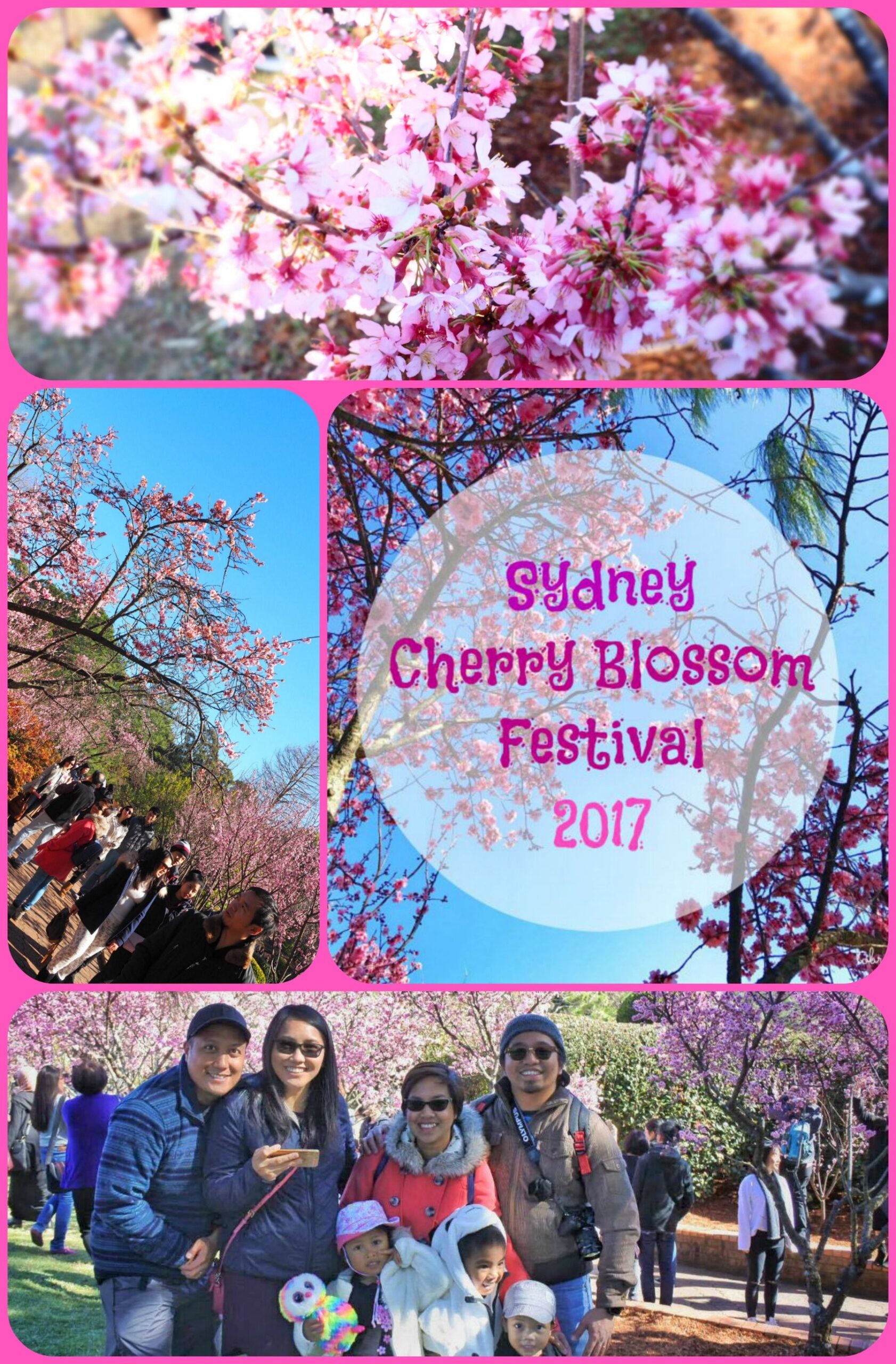Funny Lion Clip Art 2019 auburn Botanic Gardens Cherry Blossom Festival Picture Gallery …