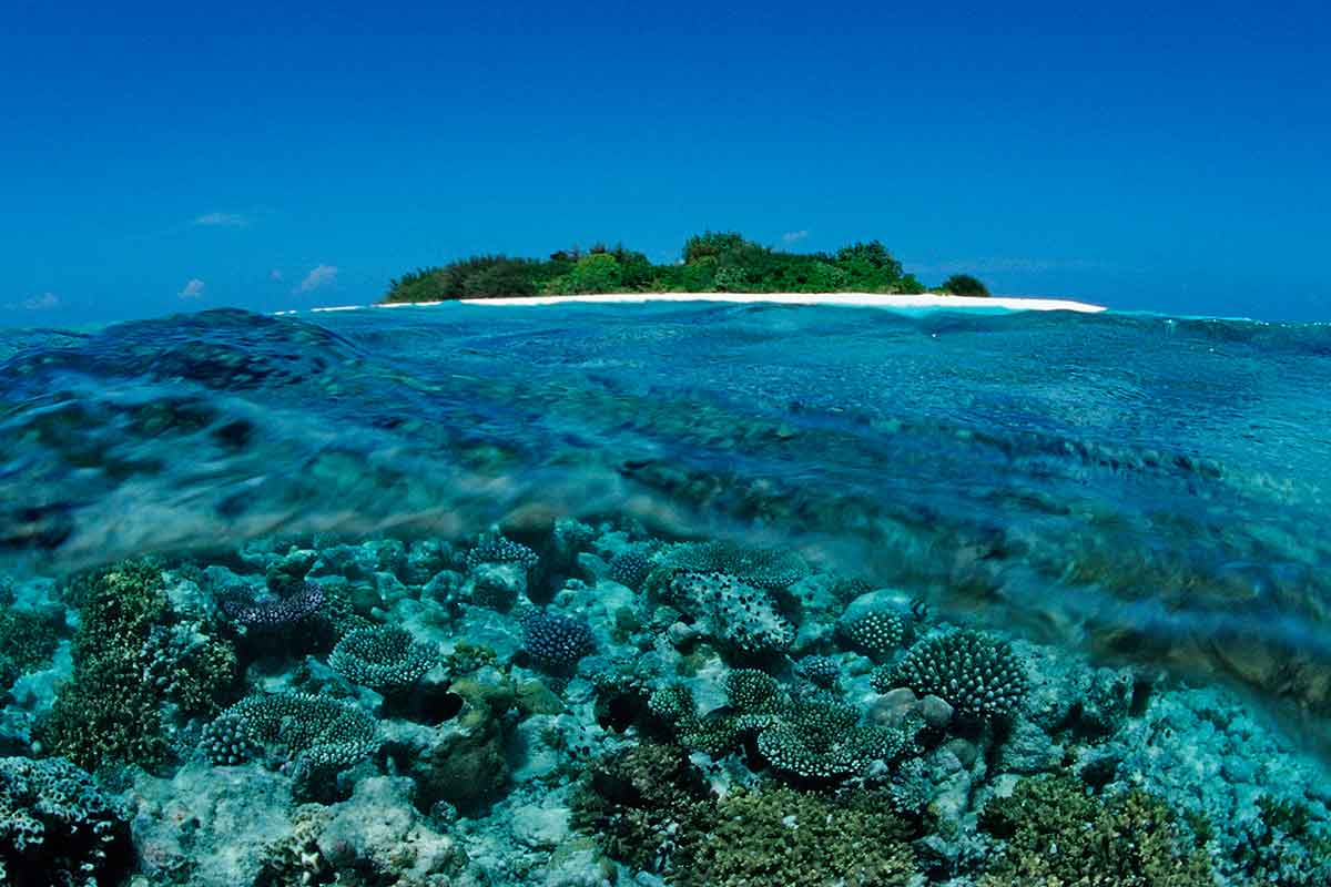 More than 60 per cent of coral reef in Maldives hit by bleaching | New