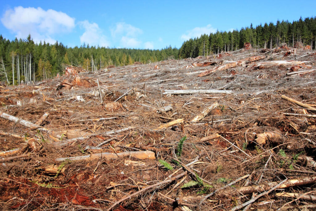 Free Addition And Subtraction Worksheets For Kindergarten 17 Effective Ways On How To Stop deforestation In Australia