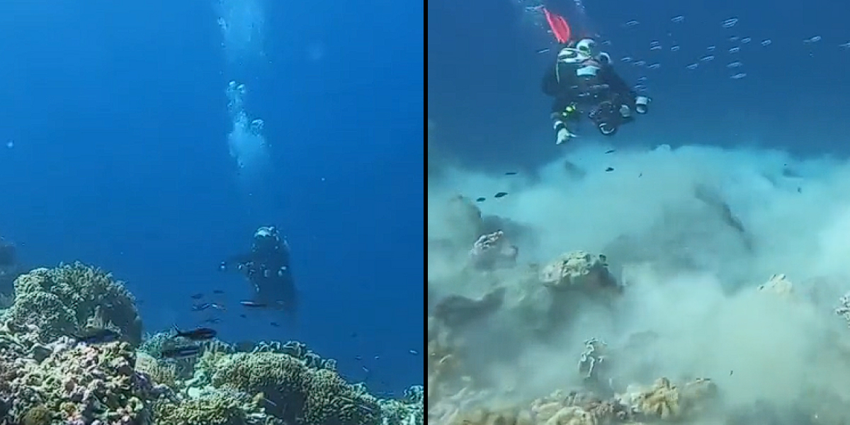 Reading Comprehension Worksheets For Beginners Astonishing Video Reveals What Happens When Earthquake Strikes Underwater