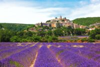 Joe Hartman Iom – Panoramic view of french lavender field at sunset. sunset over a violet Joe Hartman Iom – Panoramic view of french lavender field at sunset. sunset over a violet