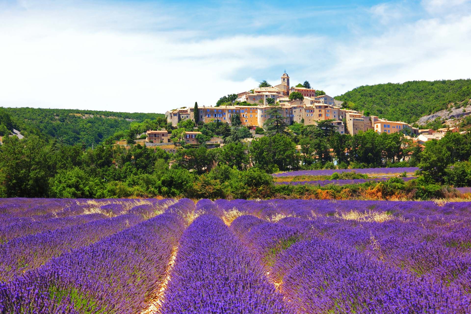 Joe Hartman Iom – Panoramic view of french lavender field at sunset. sunset over a violet