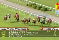 3/8 Inch Carbon Steel Swivel Fitting Compatibility 9 September 2018 Race 9 3/8 Inch Carbon Steel Swivel Fitting Compatibility 9 September 2018 Race 9