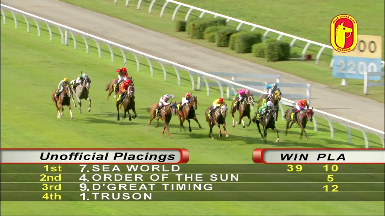 3/8 Inch Carbon Steel Swivel Fitting Compatibility 9 September 2018 Race 9