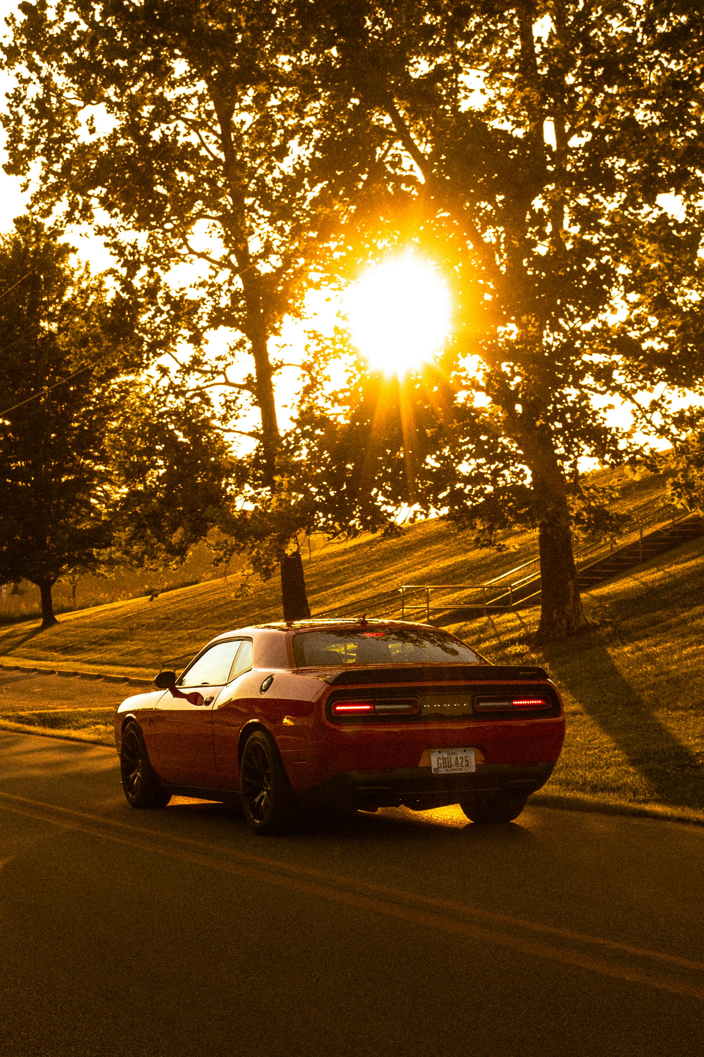 1/4 Inch Plastic Mounted Bearing Ansi Standard Red Sports Car On Road During Sunset · Free Stock Photo